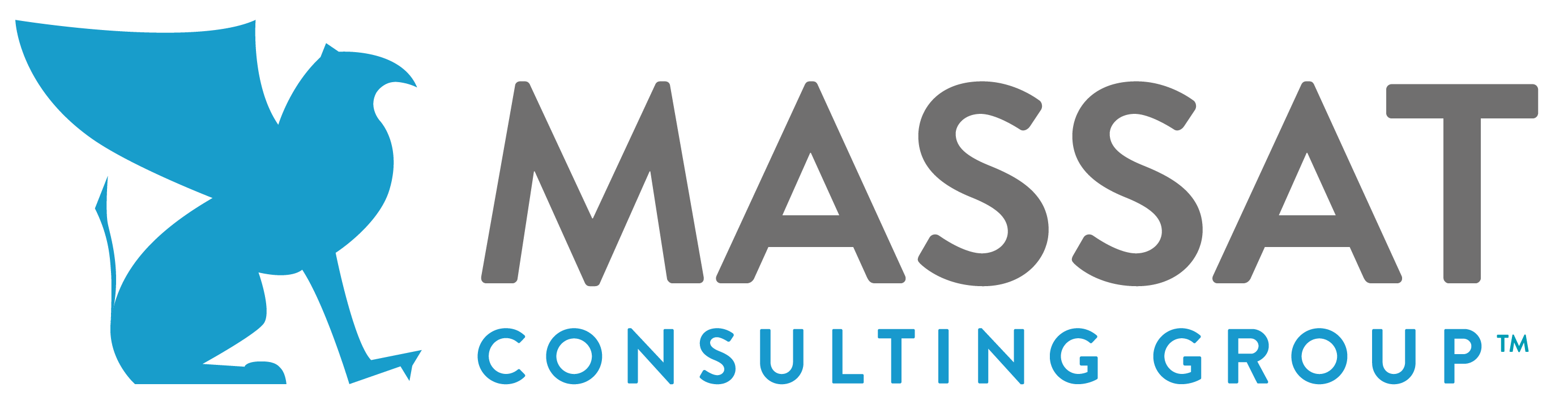 Massat Consulting Group
